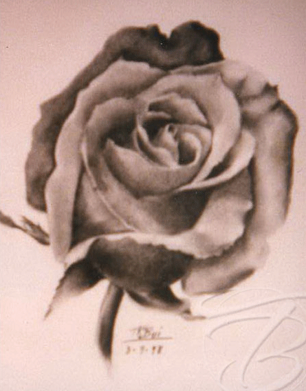 Sketch of a Rose